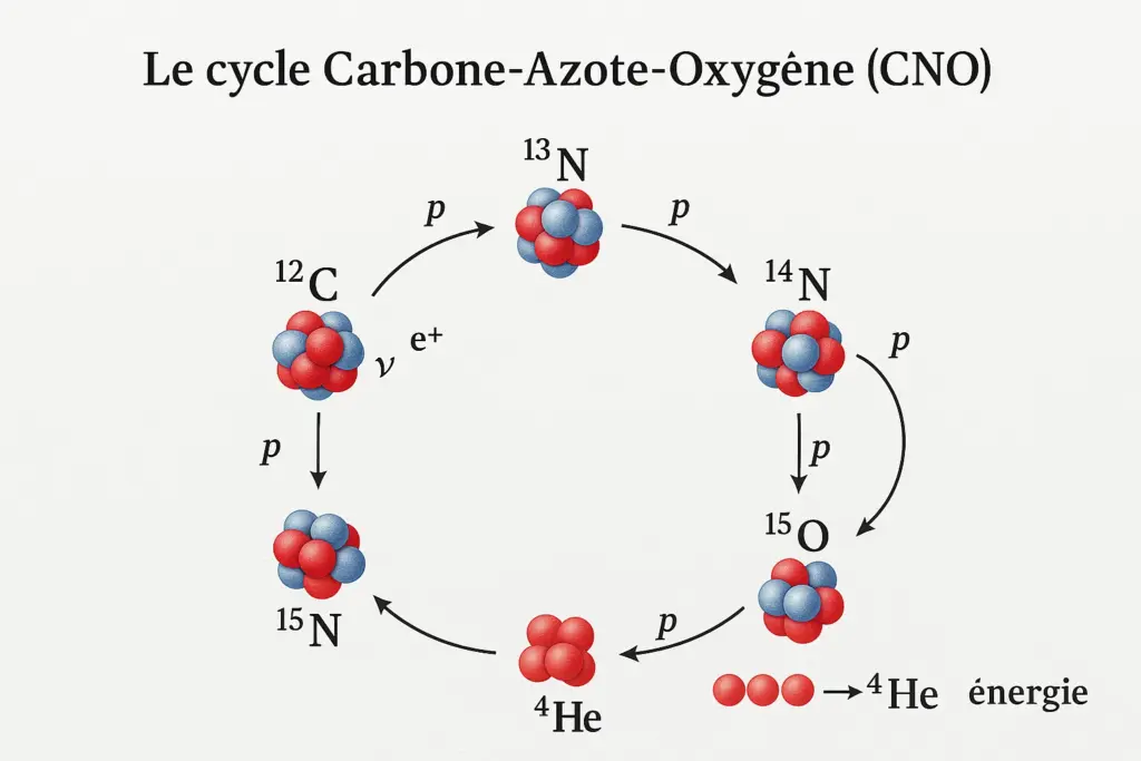 Étude du Cycle Thermonucléaire de Bethe