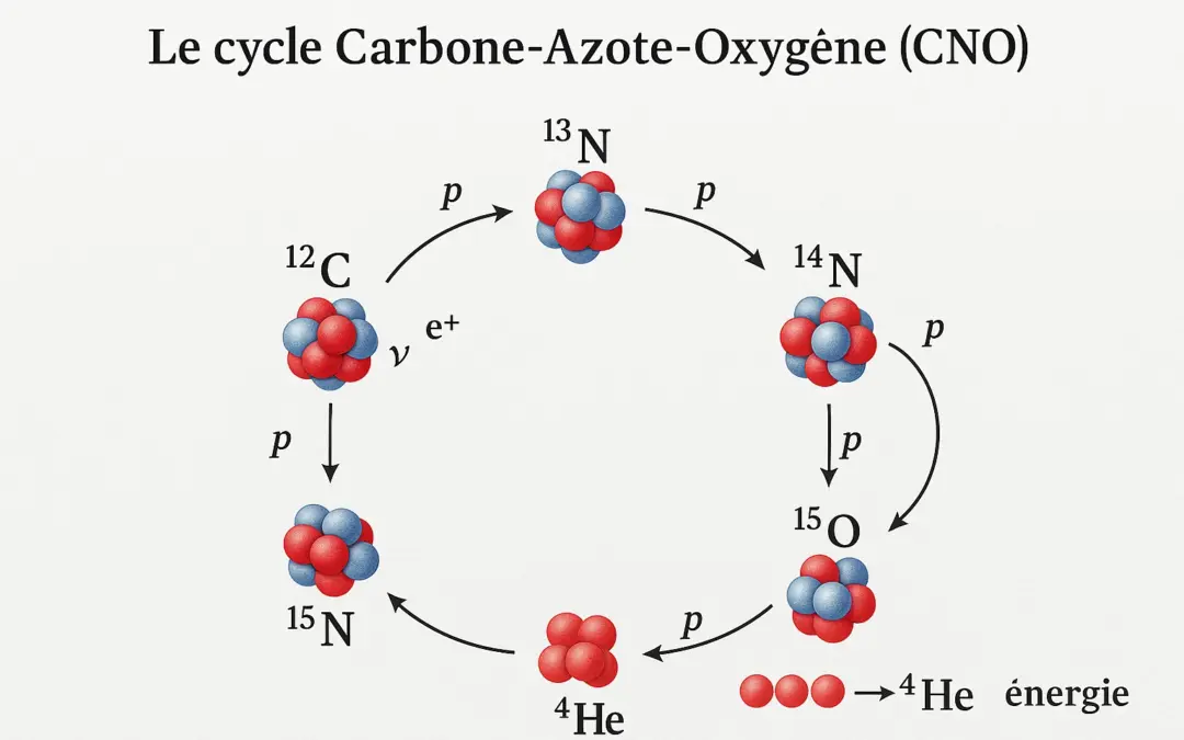 Étude du Cycle Thermonucléaire de Bethe