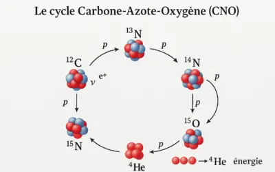 Étude du Cycle Thermonucléaire de Bethe