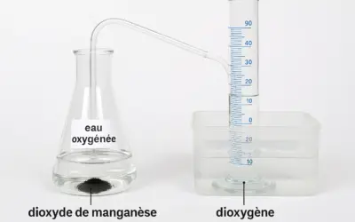 Vitesse de Réaction et Effet du Catalyseur