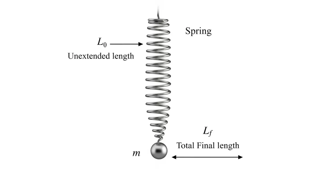 Calcul de la constante de raideur k