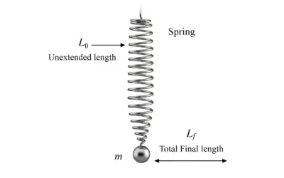 Calcul de la constante de raideur k